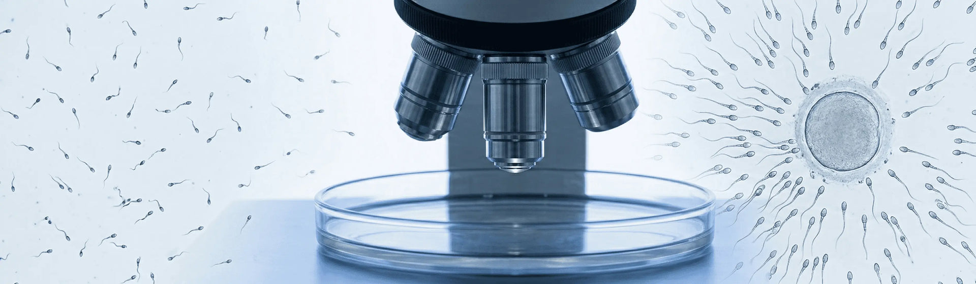 How Often Should a Man Ejaculate? The 2026 Science-Backed Guide to Ejaculation Frequency