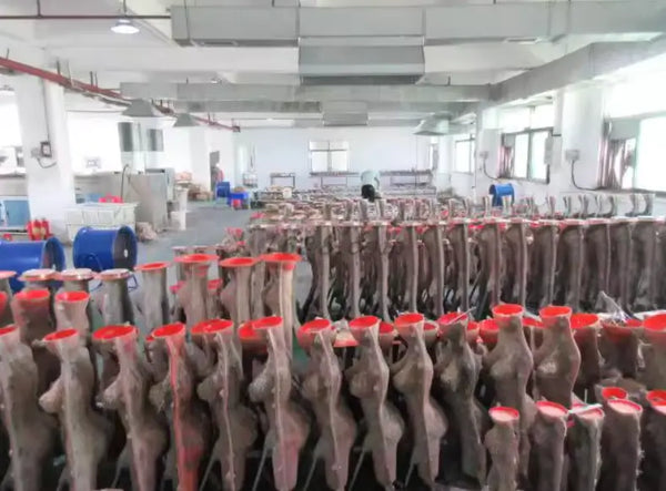 Photos of the cooperative factory Hexxme